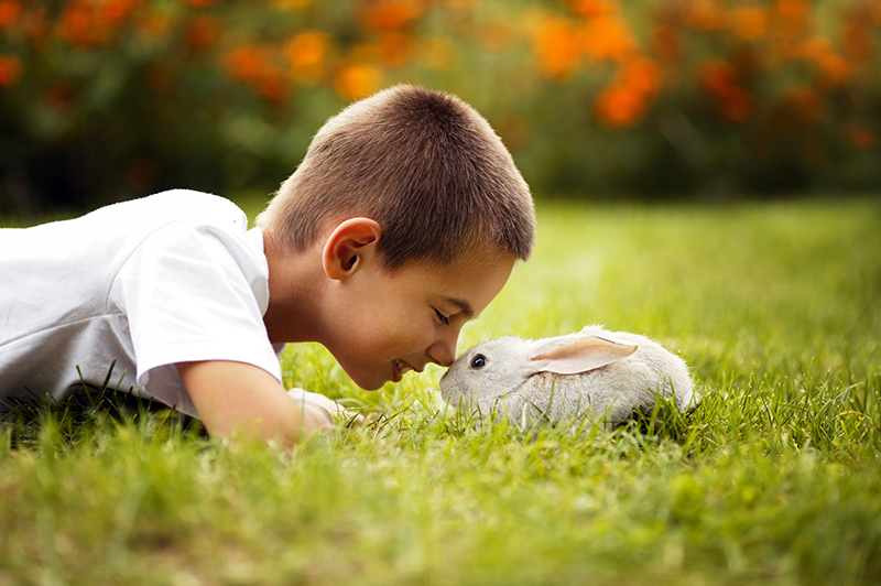 Criança com coelho